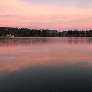 Meet your Posher, Cailin